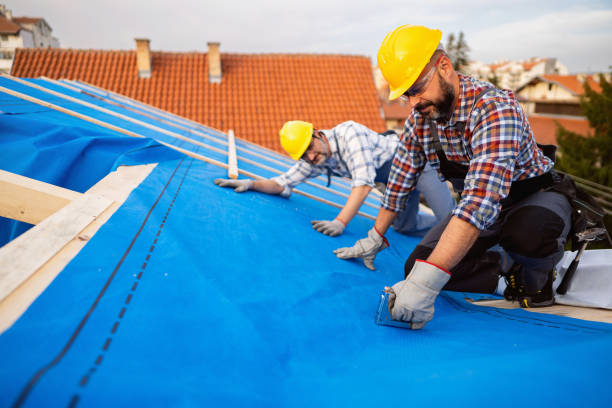 Steel Roofing in Chehalis, WA